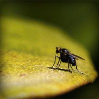 /album/colmiddticcalist/photolia-a07-jpg/